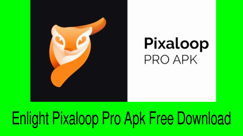 Enlight Pixaloop Pro Apk Free Download 