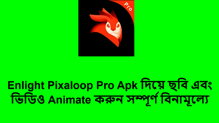 Enlight Pixaloop Pro Apk